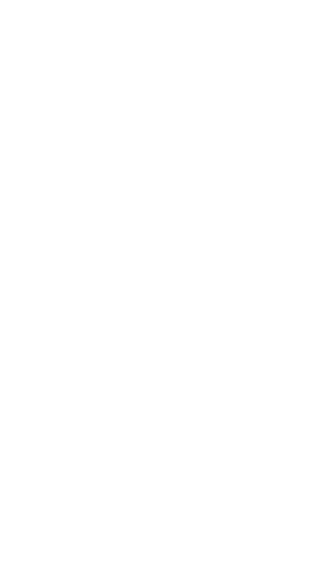 Rikitake system intro